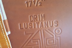 Zaldi-Drim-Lusitanus-tostada-a-medida-EQUIscan-de-BIENESTARCABALLO-11