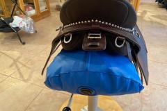 Zaldi-Relvas-a-medida-EQUIscan-de-bienestarcaballo-2
